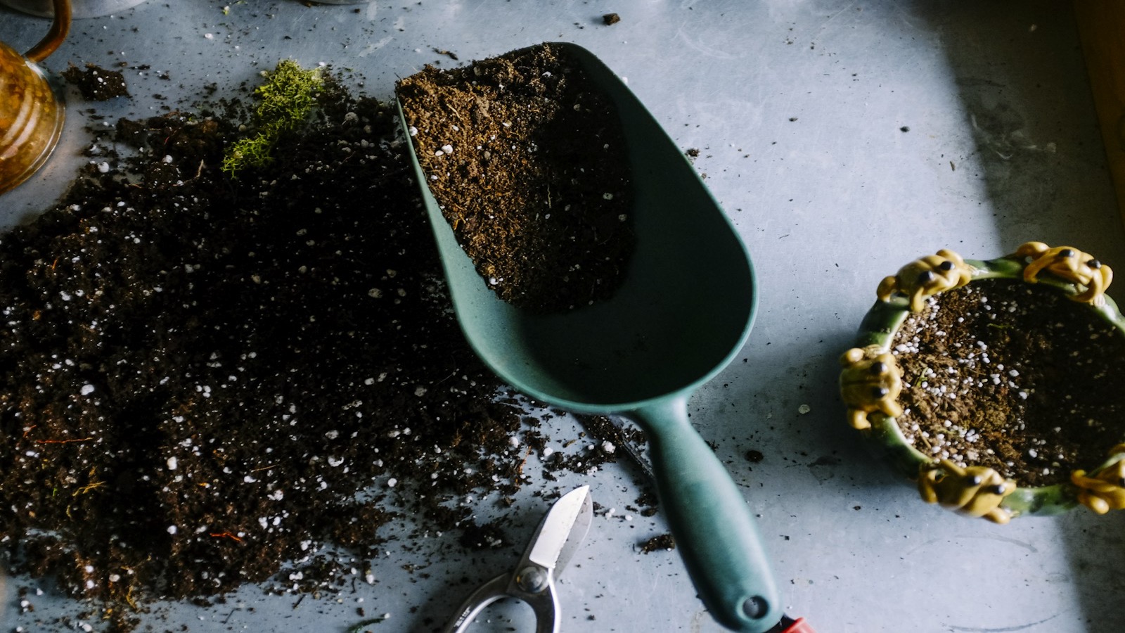 Best Smart Garden Lights UK 2026: Reviewed & Ranked