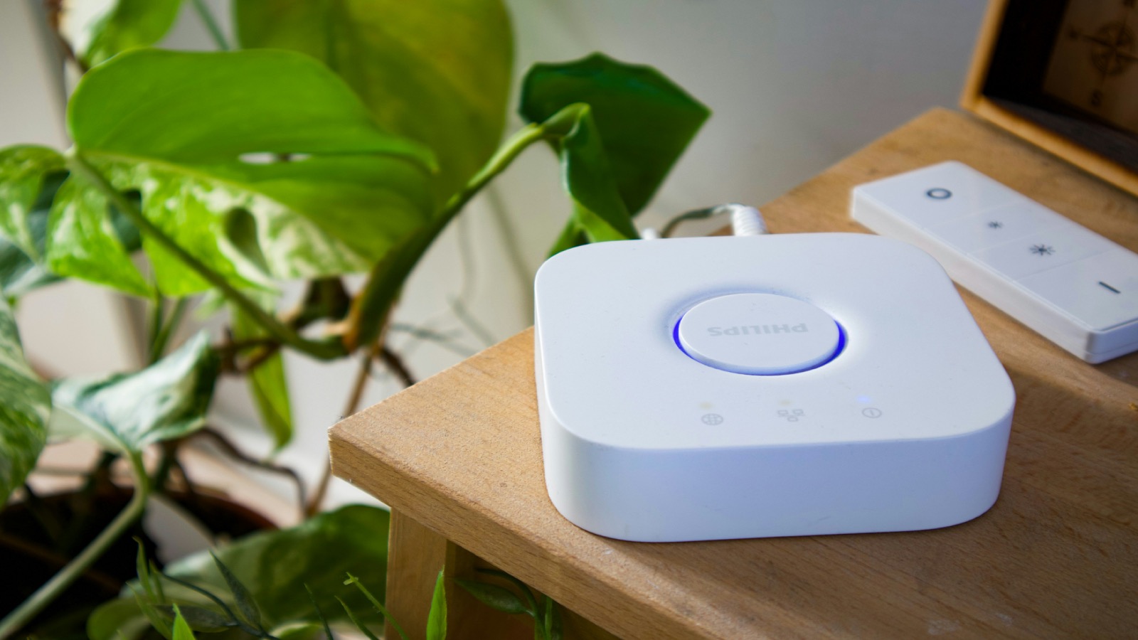 Home Assistant Matter Setup Guide